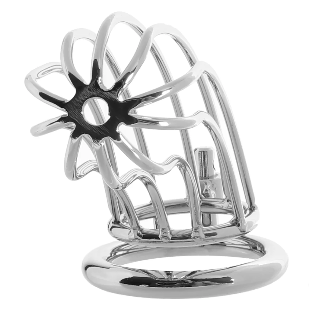 Blue Line Prisoner Cock Cage in Silver - Image 4