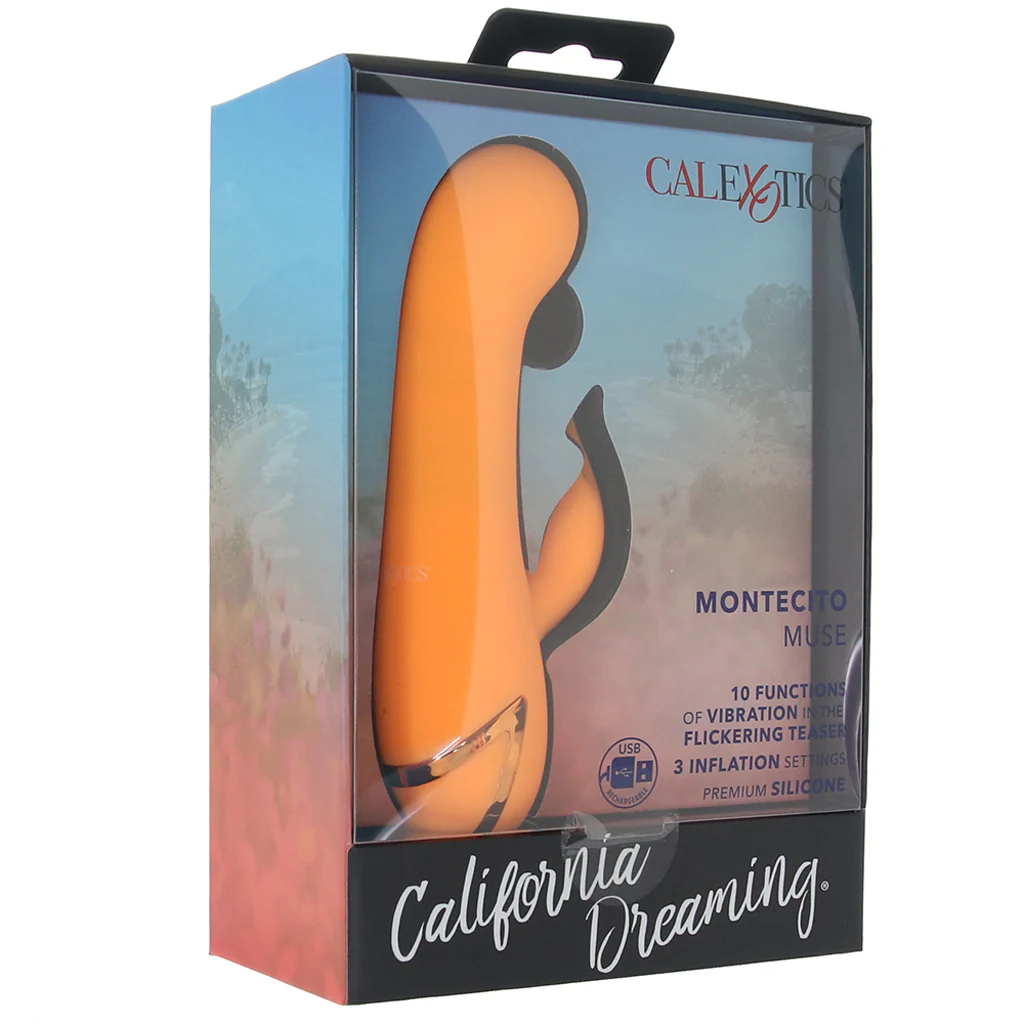 California Dreaming Montecito Muse Vibe - Image 6