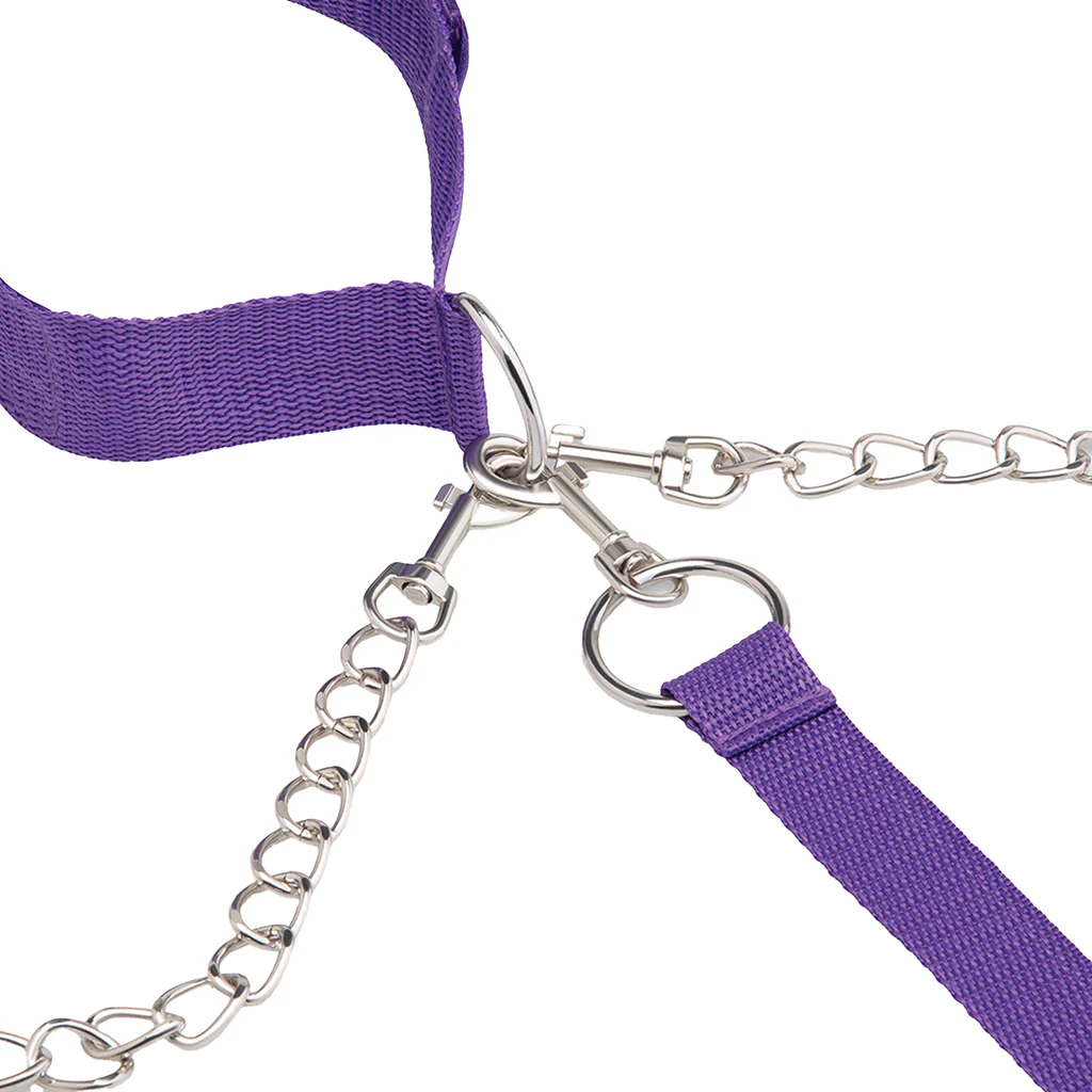 Collar, Cuff & Leash Set in Purple - Image 5