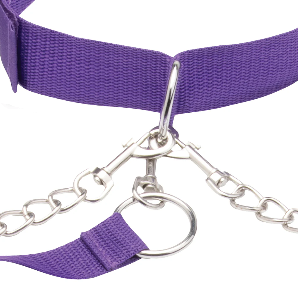 Collar, Cuff & Leash Set in Purple - Image 8