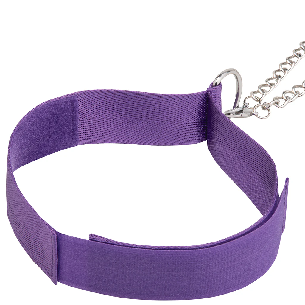 Collar & Nipple Clamp Set in Purple - Image 4