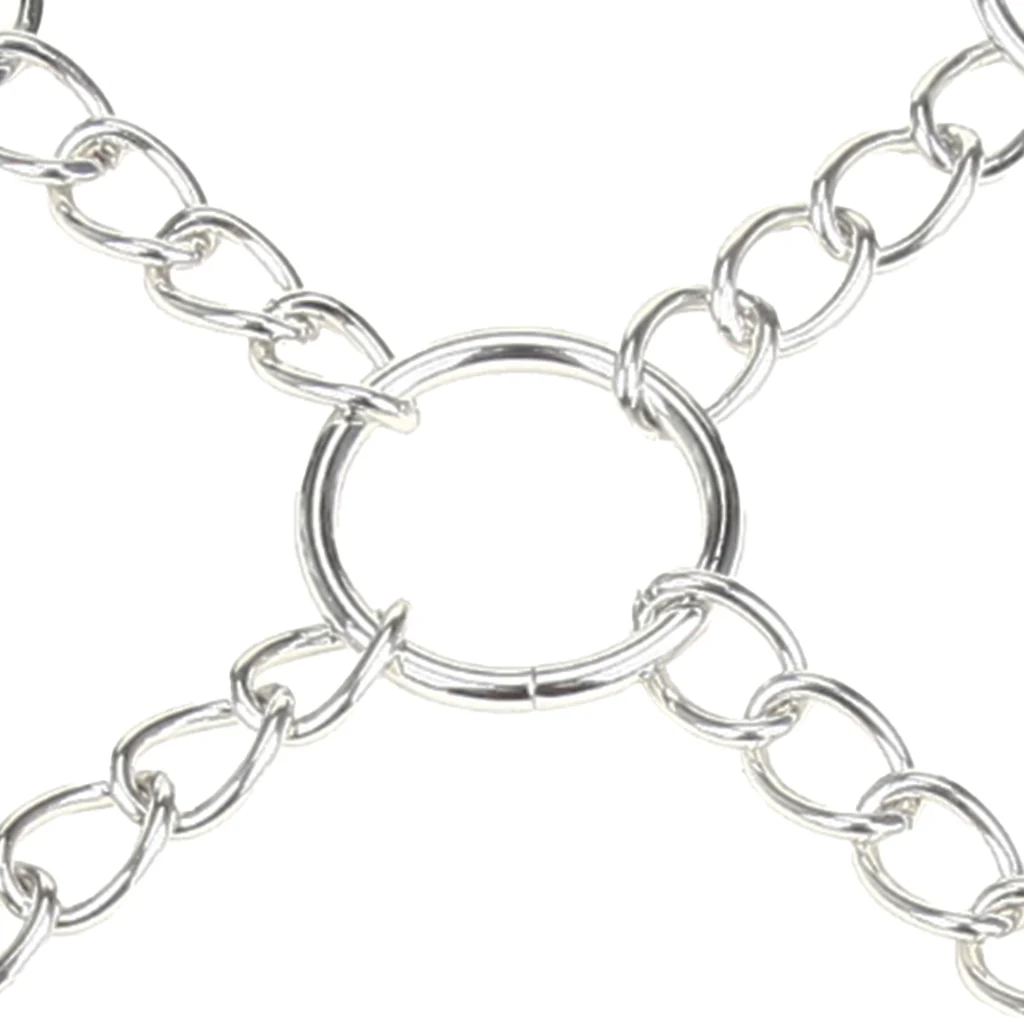 Deluxe Chain Hogtie - Image 3