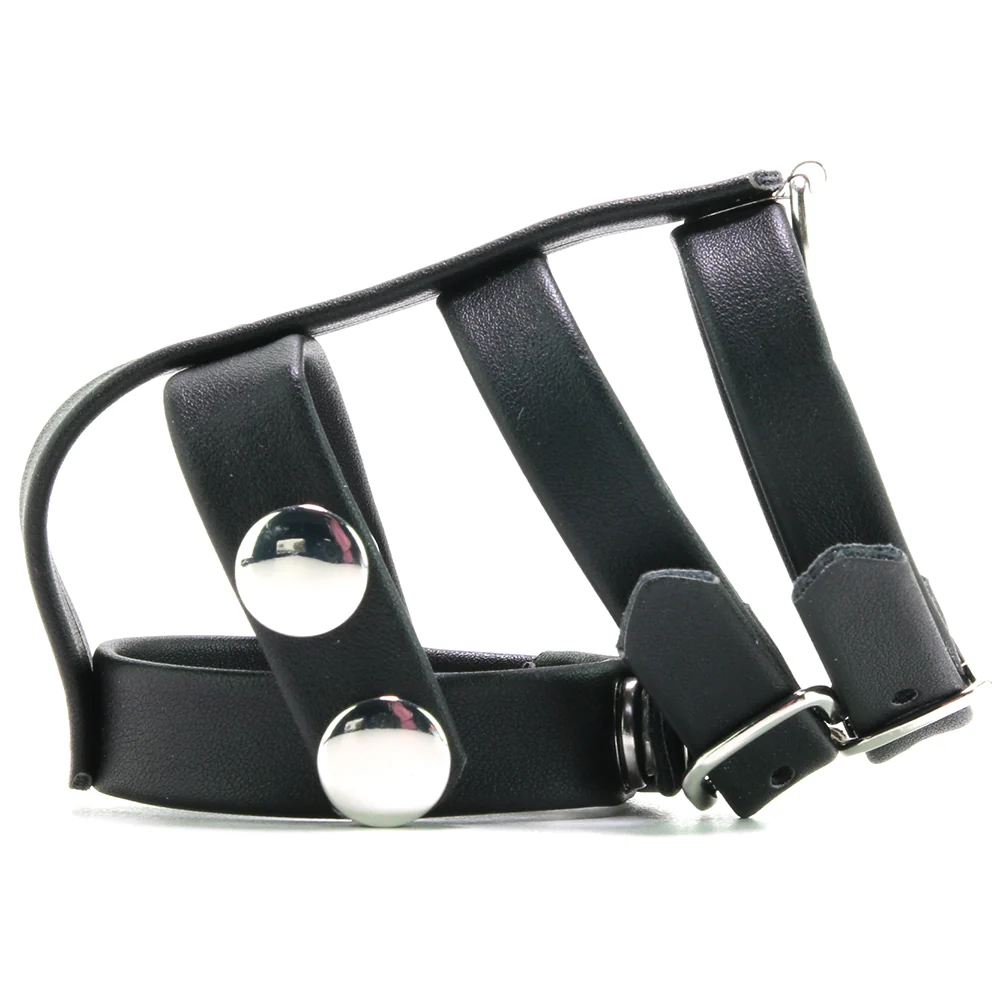 Blue Line Double Cock and Ball Strap with Leash Lead - Image 3