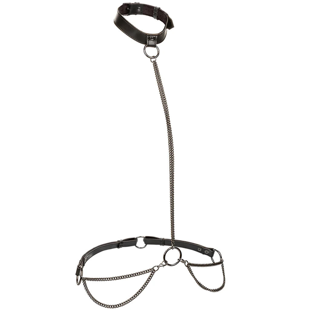 Euphoria Chain Collar & Leash - Image 2