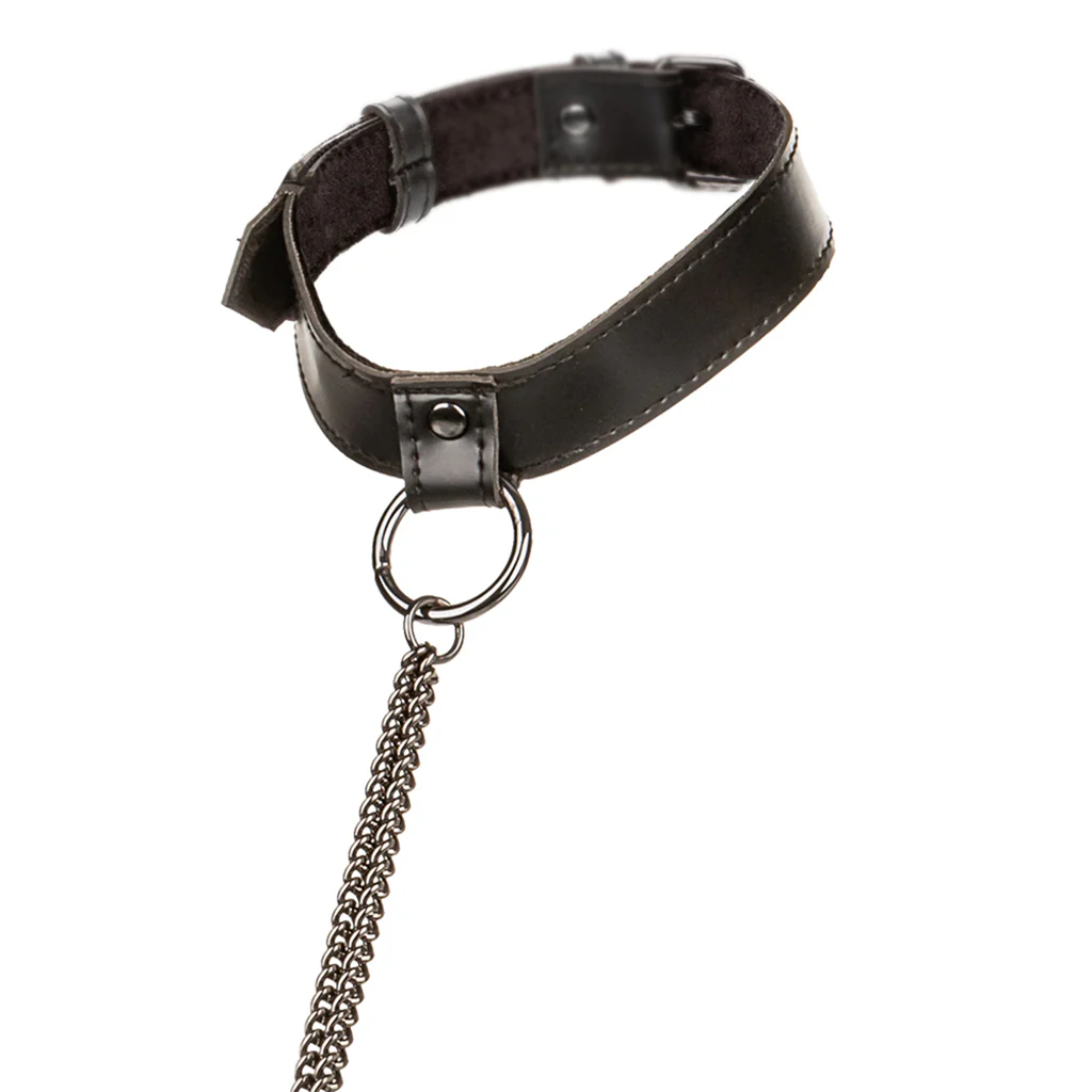 Euphoria Chain Collar & Leash - Image 4