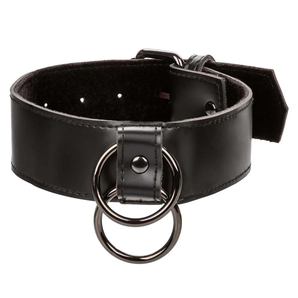 Euphoria Collar With Chain Leash - Image 4