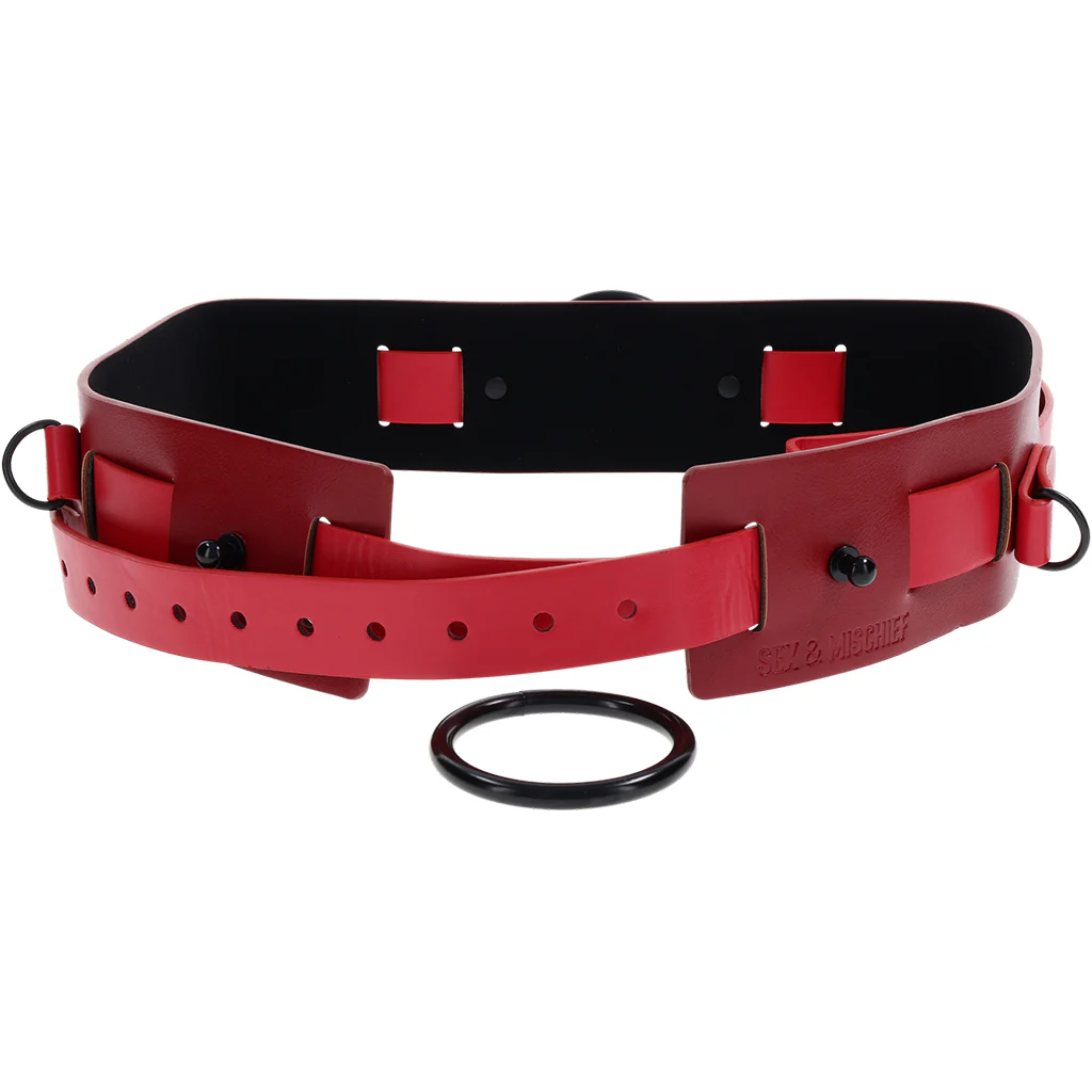 Ex's & Oh's Bound And Belted Restraint - Image 7