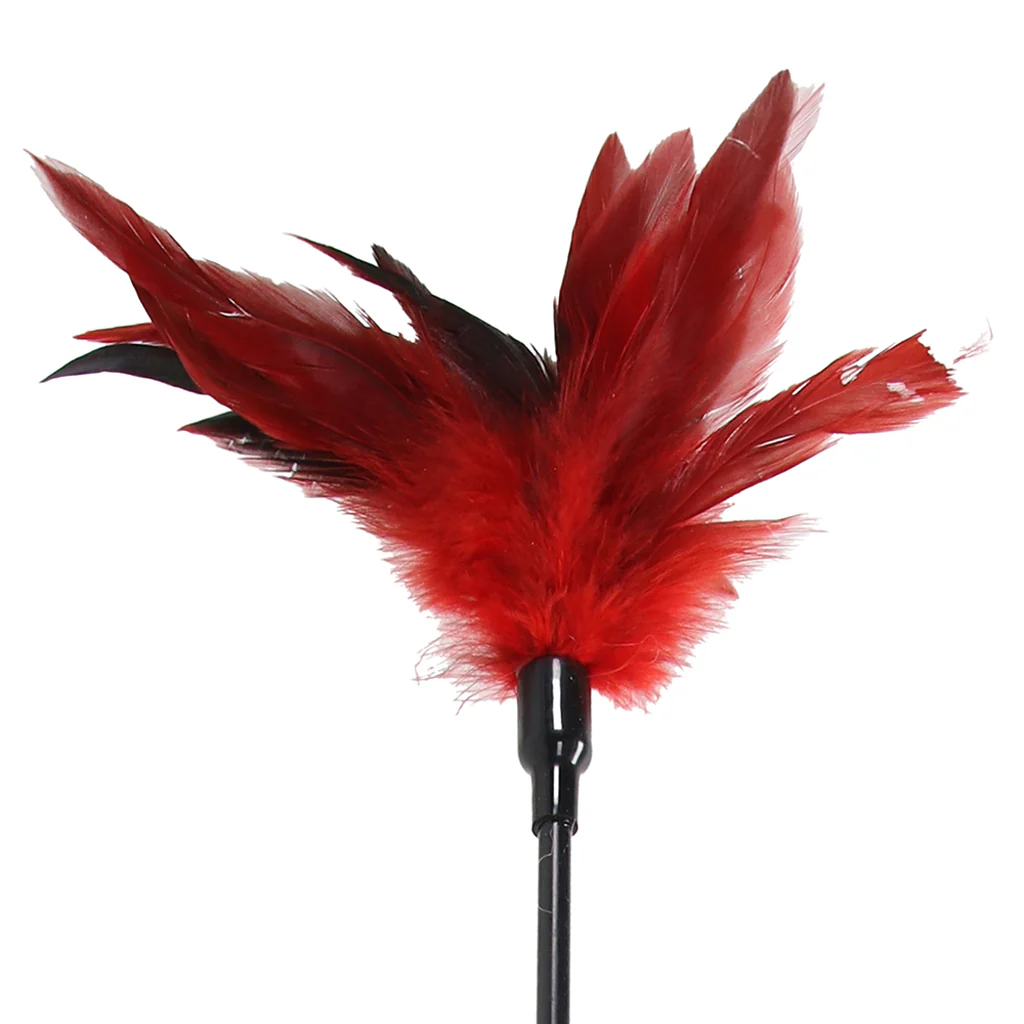 Sex & Mischief Feather Slapper - Image 3