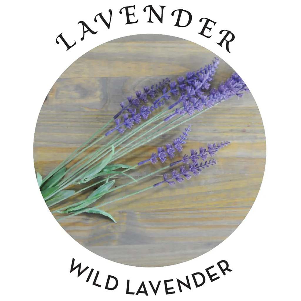 Hemp Seed Tranquility Trio Massage Kit in Lavender - Image 6