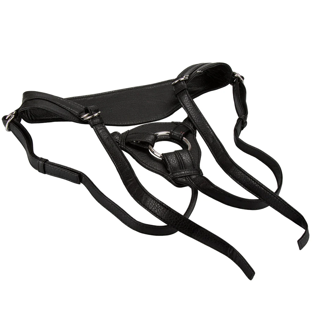 The Queen Her Royal Harness - Image 3