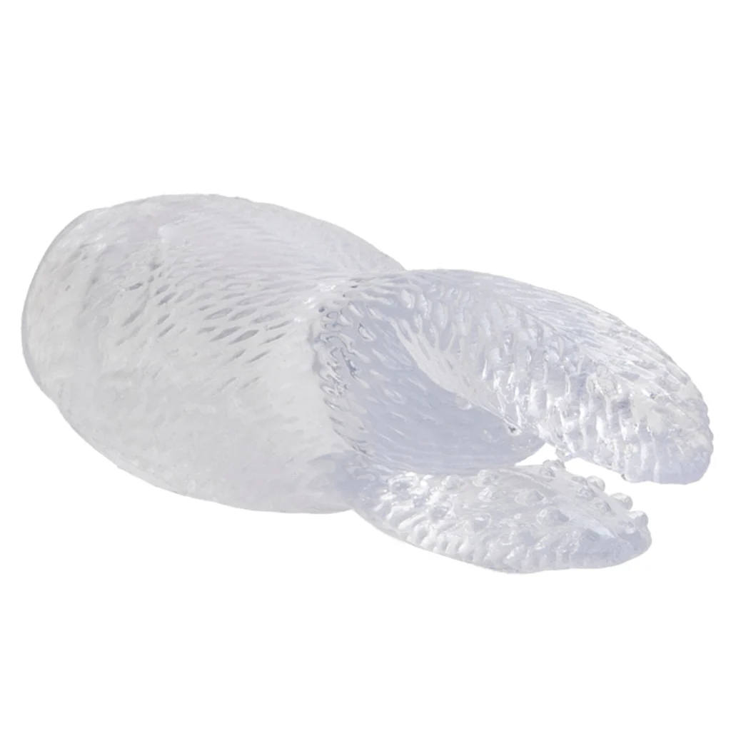 Hi-Intensity Snow Bunny Vibe in Clear - Image 4