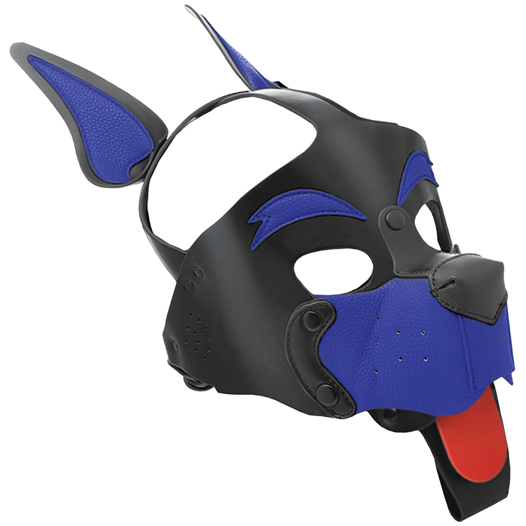 Kanine Kolection Alpha Dog Pup Hood in Blue - Image 2
