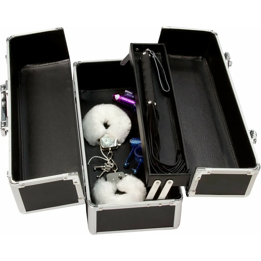 Simple and True Lockable Large Vibrator Case in Black - Image 2