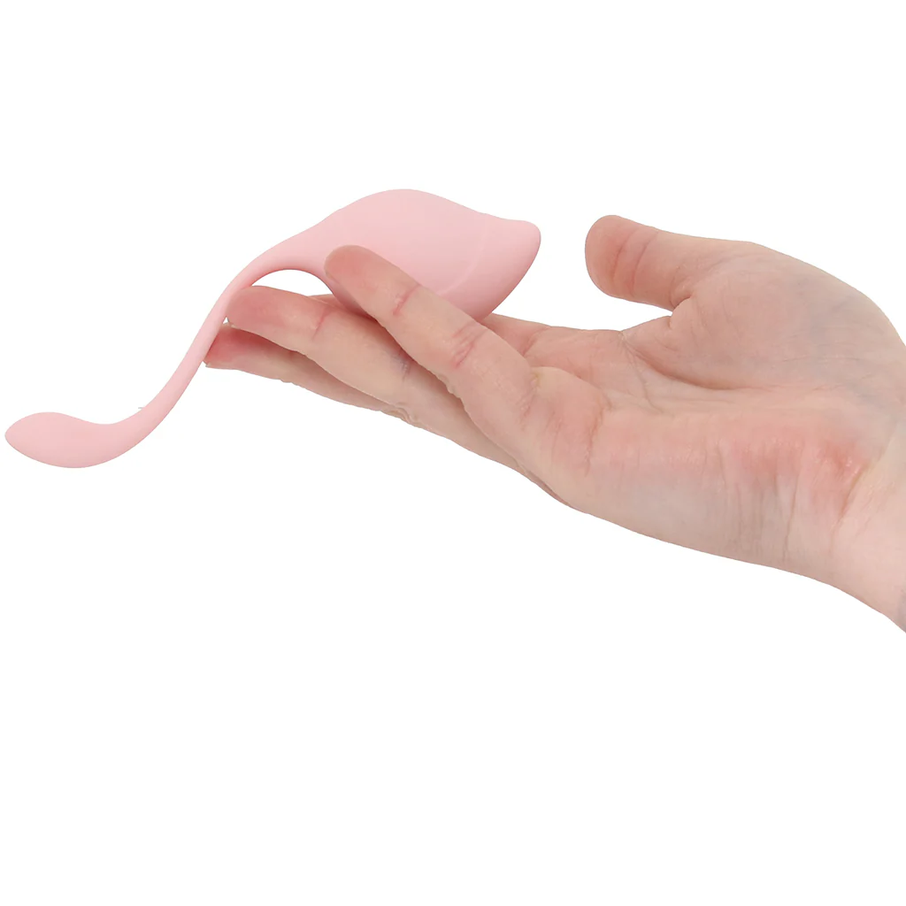 Loveline Pelvifit Stem Kegel Kit - Image 4