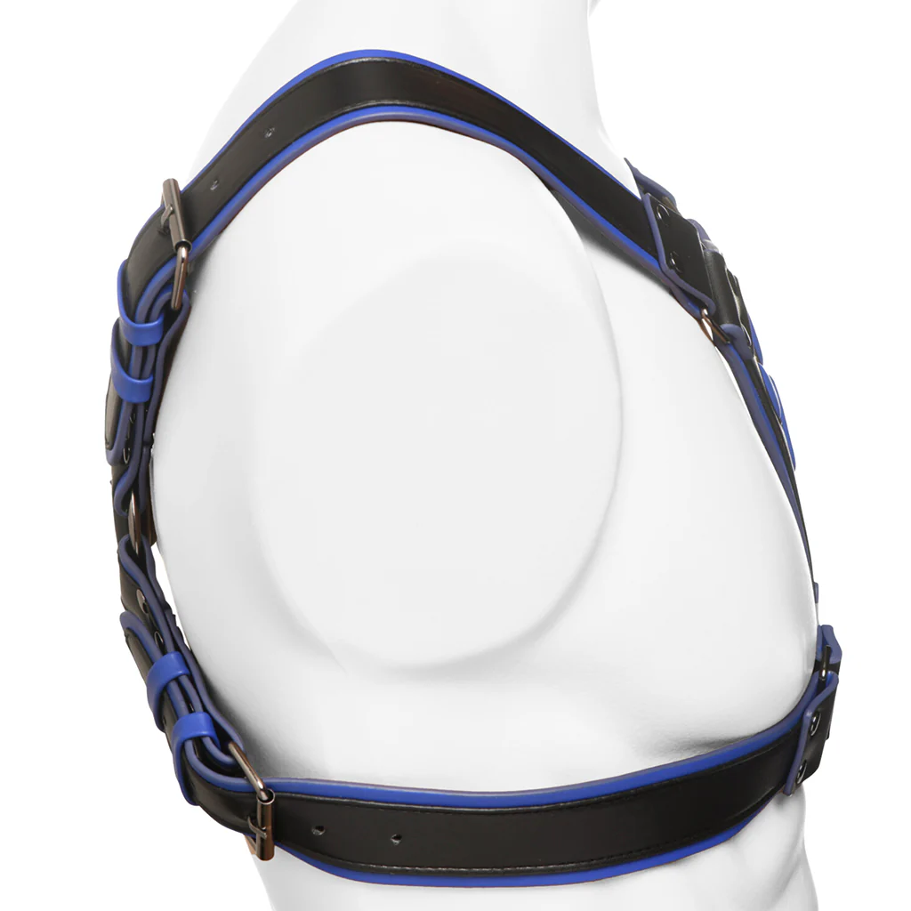 Master Series Alpha Pup Bulldog Harness in Blue - Image 3