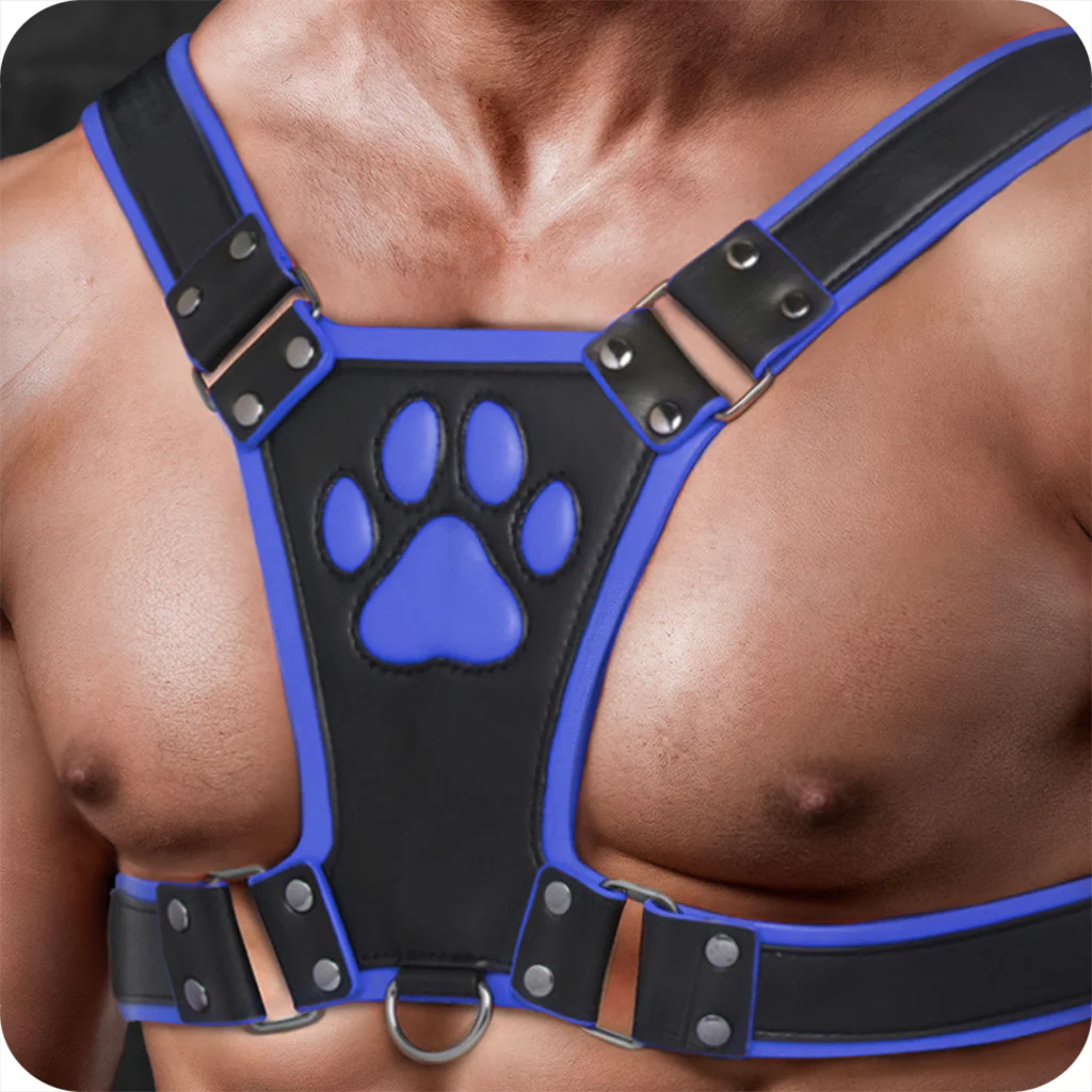 Master Series Alpha Pup Bulldog Harness in Blue - Image 4