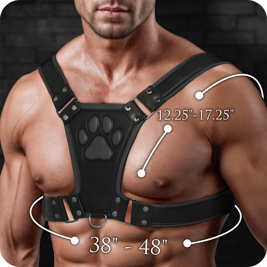 Master Series Alpha Pup Bulldog Harness in Black - Image 8