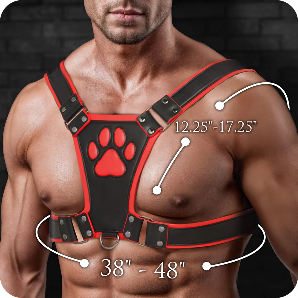 Master Series Alpha Pup Bulldog Harness in Red - Image 8