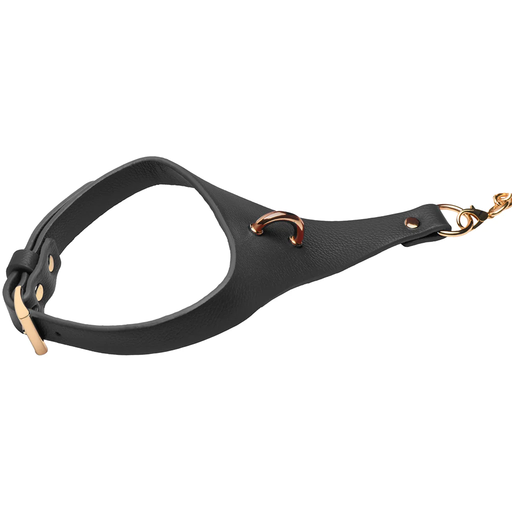 Master Series Captivate Collar with Body Chain in Black - Image 4