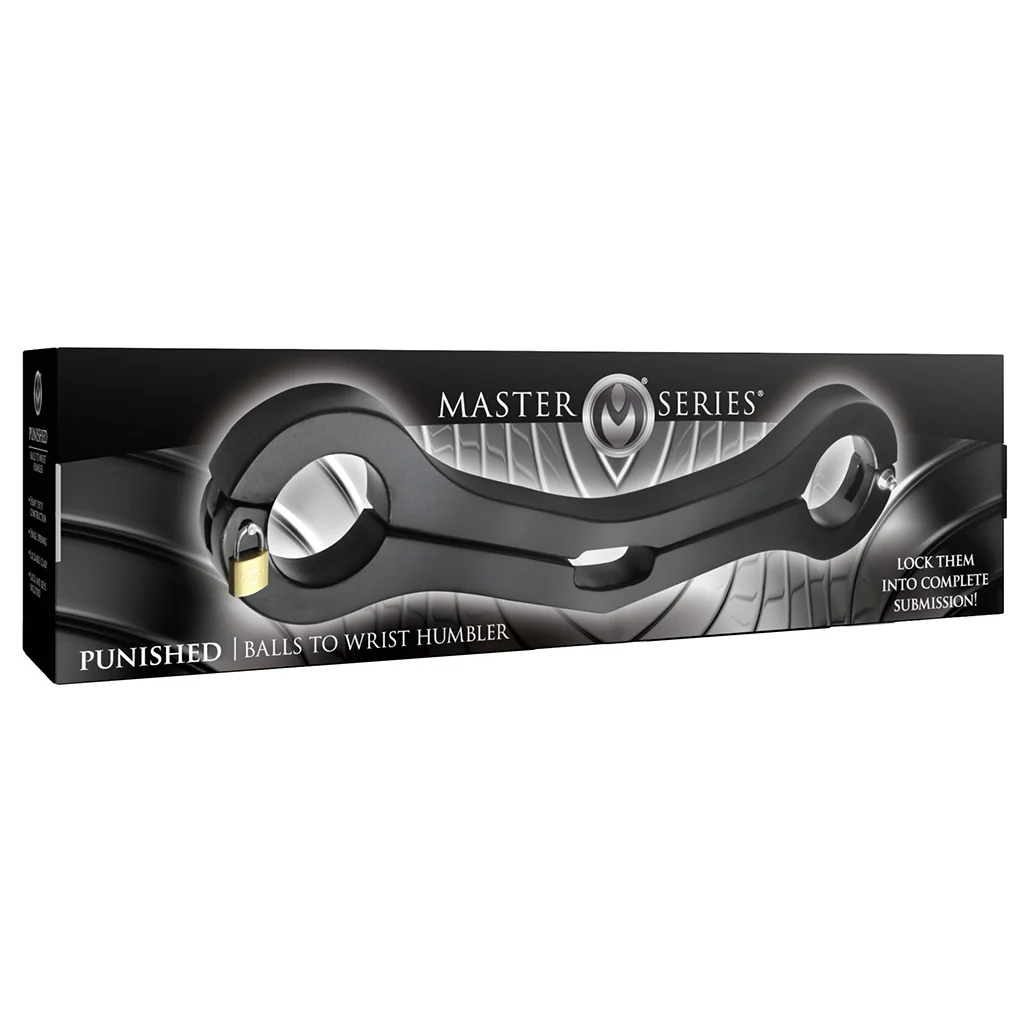 Master Series Punished Balls to Wrist Humbler - Image 9