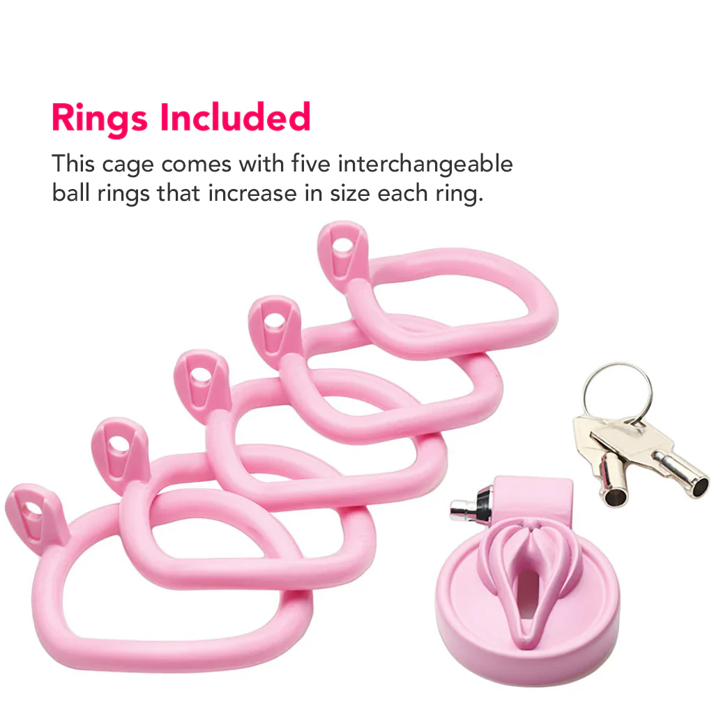Master Series Pussification Vulva Chastity Cage - Image 3