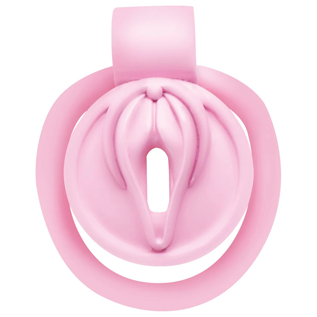 Master Series Pussification Vulva Chastity Cage - Image 5