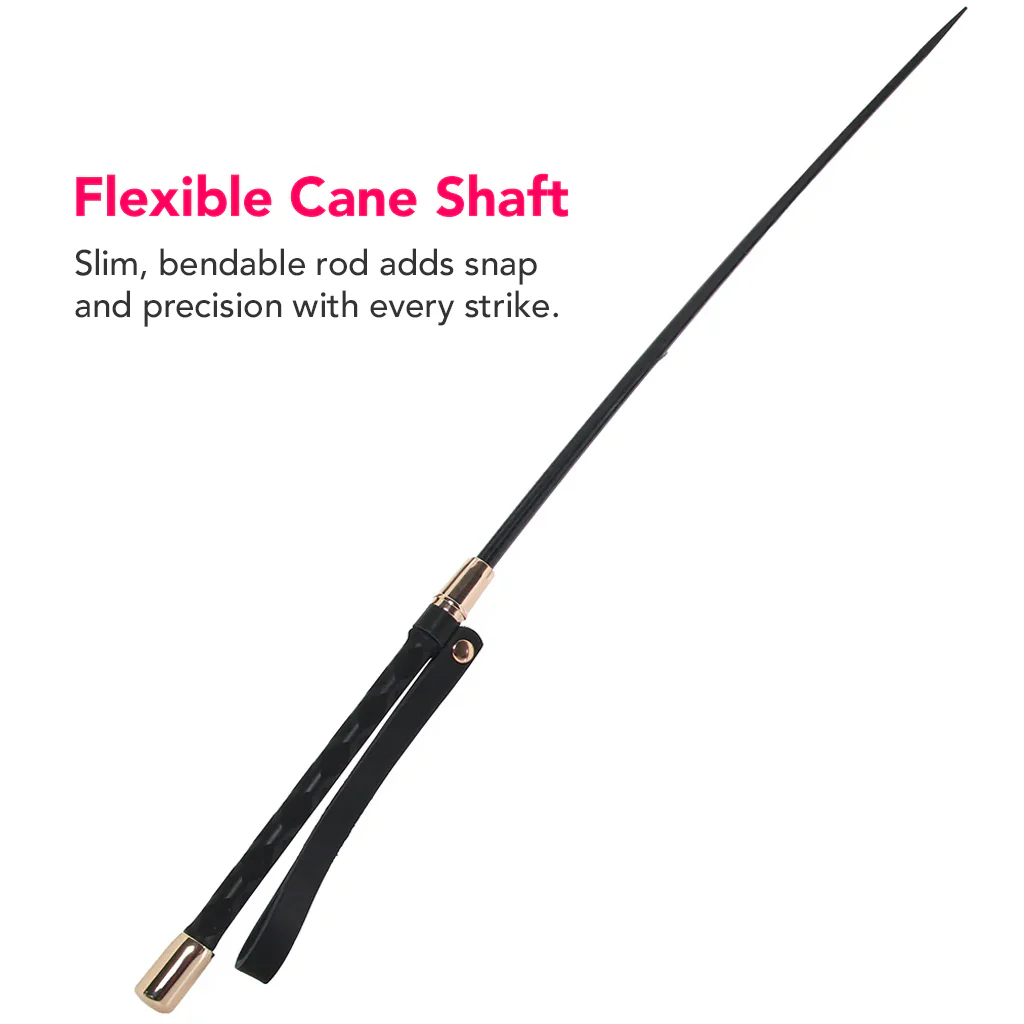 Master Series Sinful Impact Cane in Black - Image 5