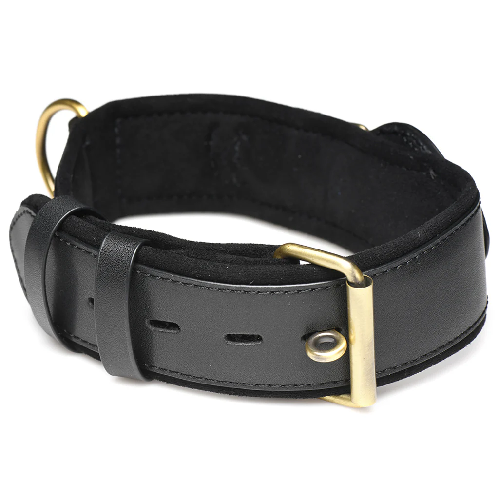 Master Series Tracer Tracking Collar - Image 5