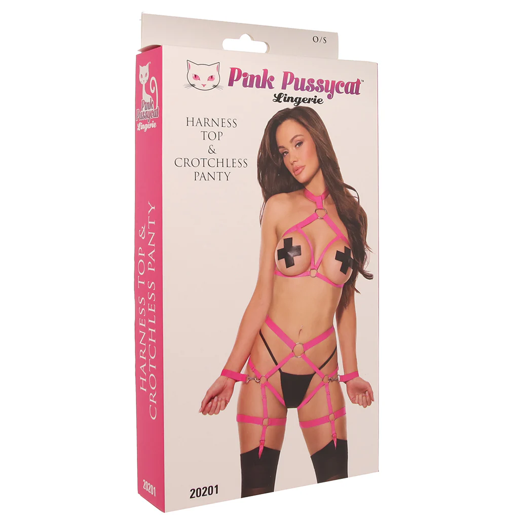 Pink Pussycat Harness Top & Crotchess Panties Set - Image 9