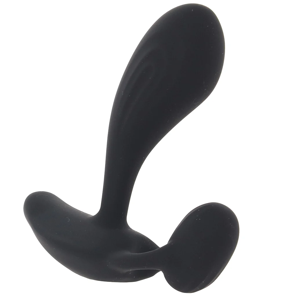 Renegade Echo Prostate Vibe - Image 6