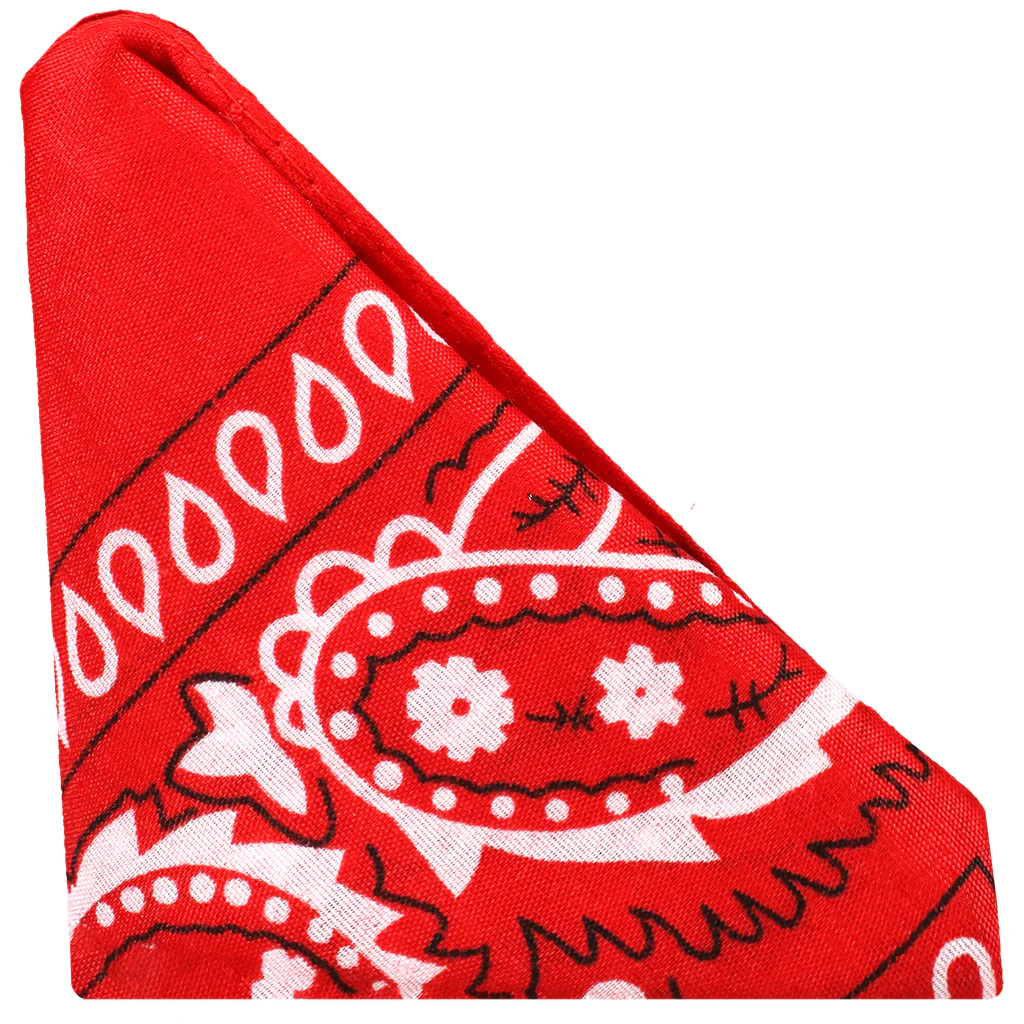 Rock Solid The Code C-Ring and Bandana Set in Red - Image 5