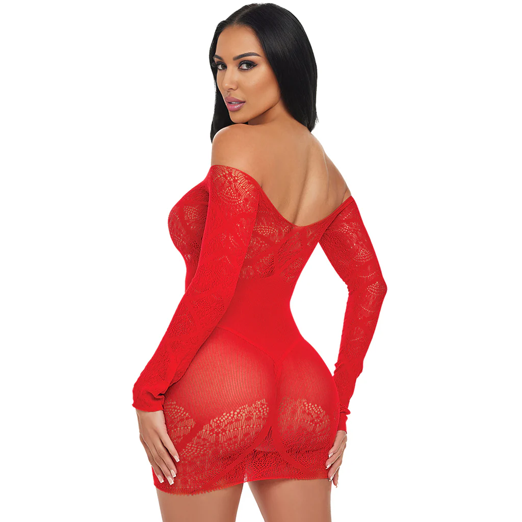 Scarlet Seduction Lace & Mesh Dress - Image 2
