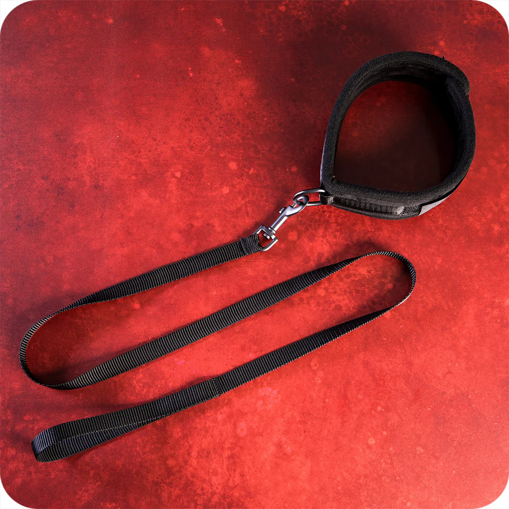 Sei Mio Take The Lead Neck Collar & Leash - Image 5