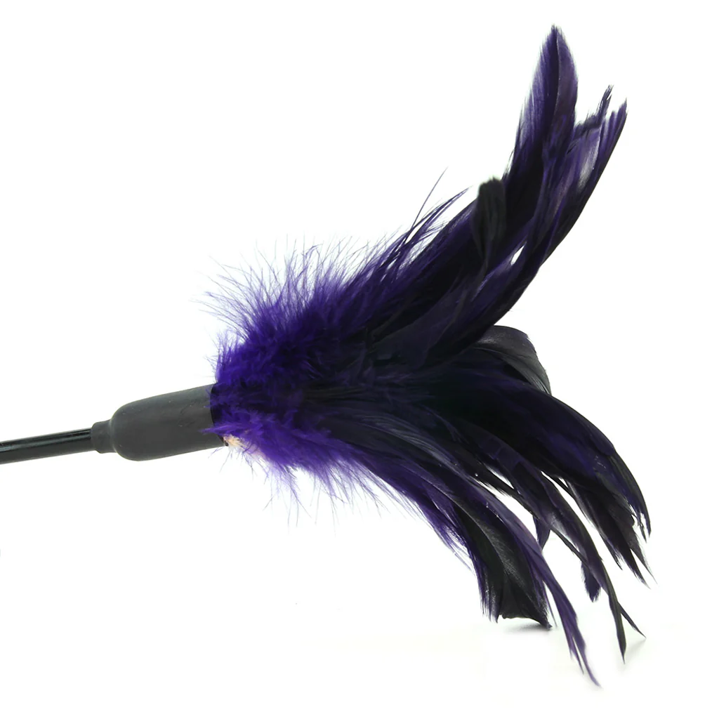 Starburst Feather Body Tickler in Violet - Image 2