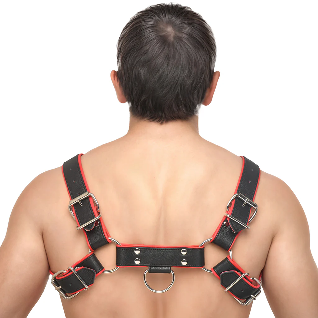 Strict Leather English Bulldog Harness - Image 2