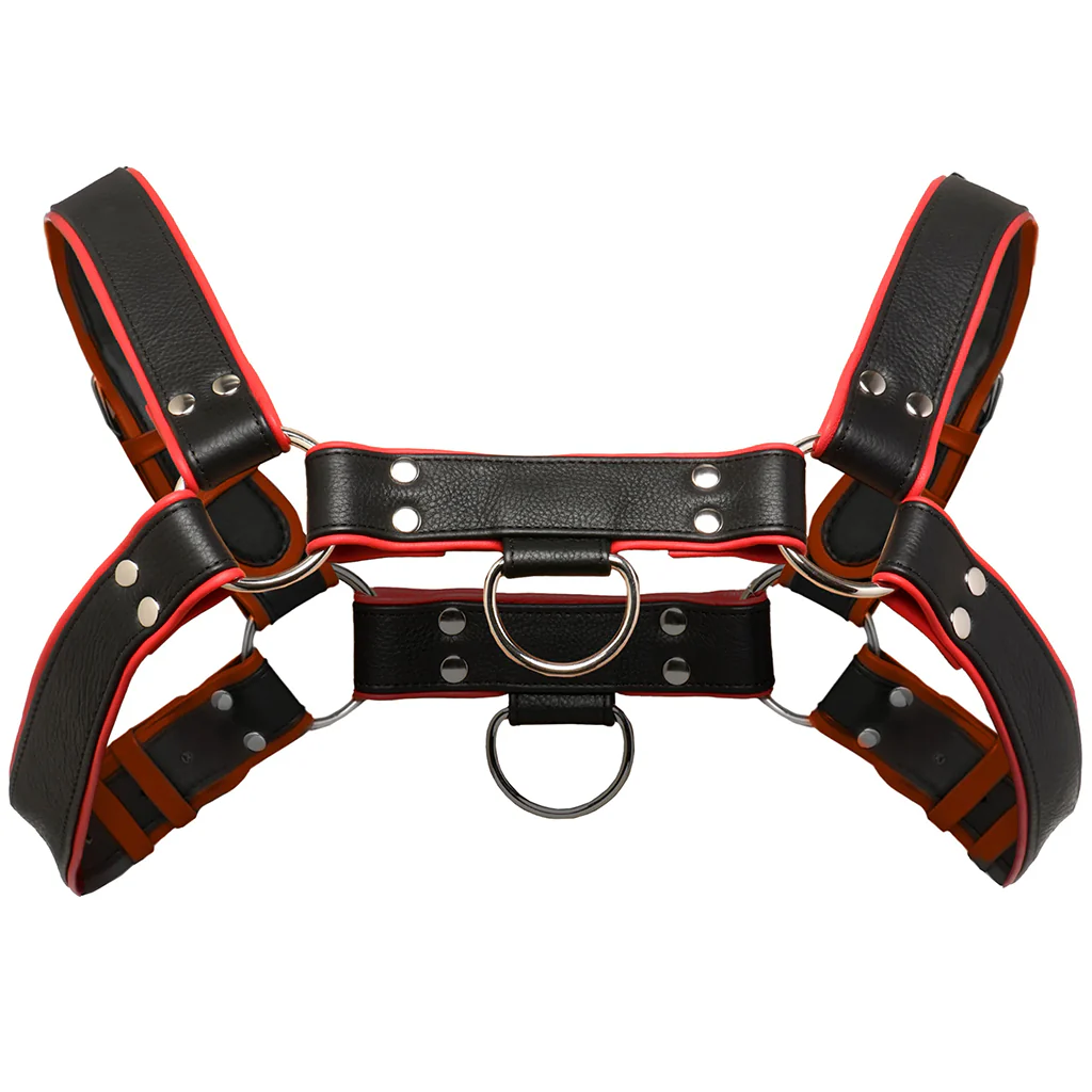 Strict Leather English Bulldog Harness - Image 3