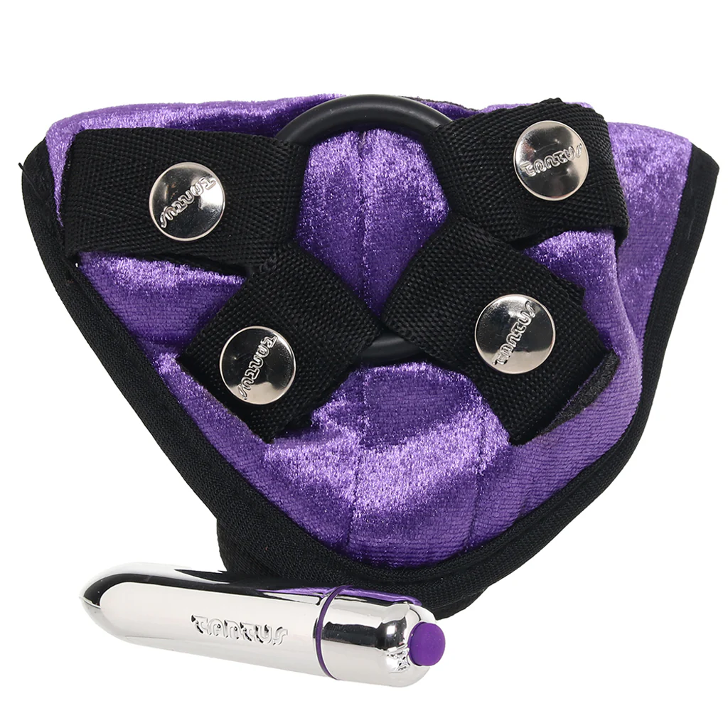 Velvet Vibrating Bullet Harness in Purple - Image 3